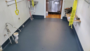 Lettie’s-kitchen-2 Flash Coving