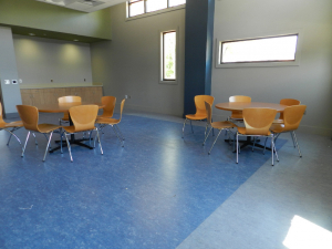 Our Commercial Linoleum Product